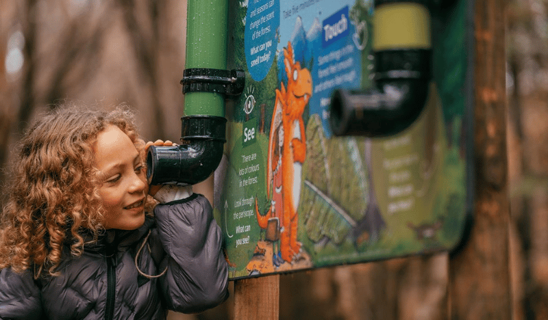 Zog activity trail at Sherwood Pines